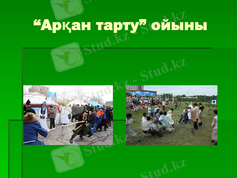 Slide 8