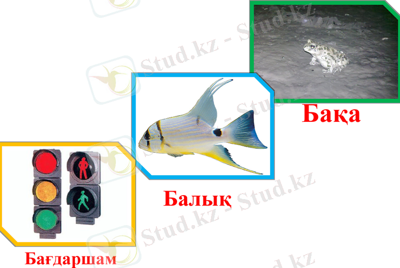 Slide 17