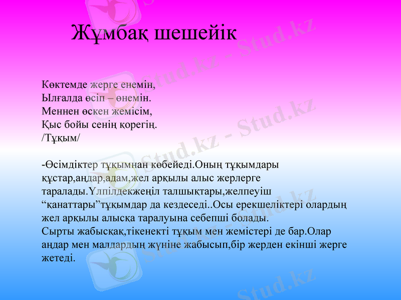 Slide 11