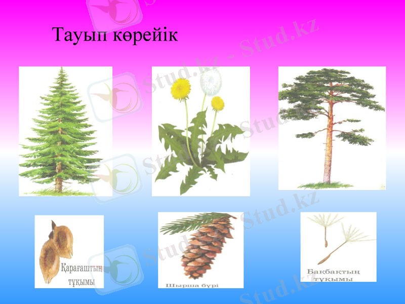 Slide 13