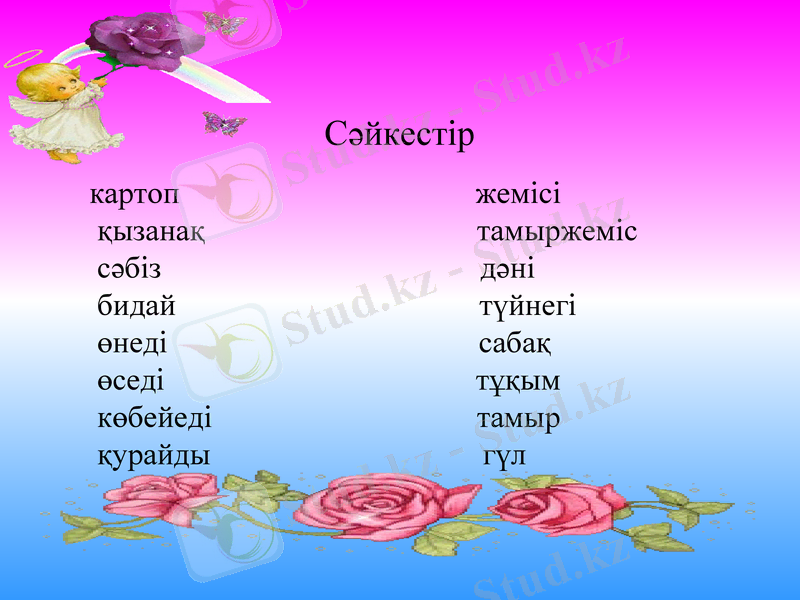 Slide 15