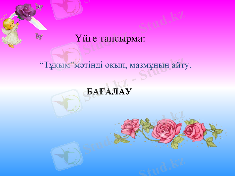 Slide 17