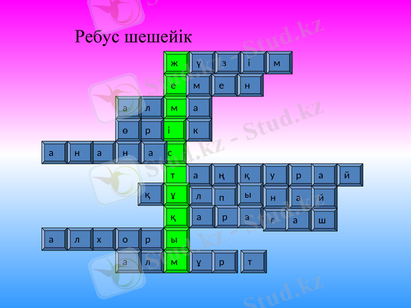 Slide 5