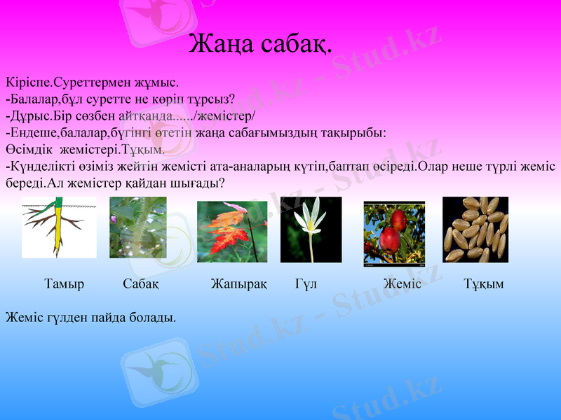 Slide 6