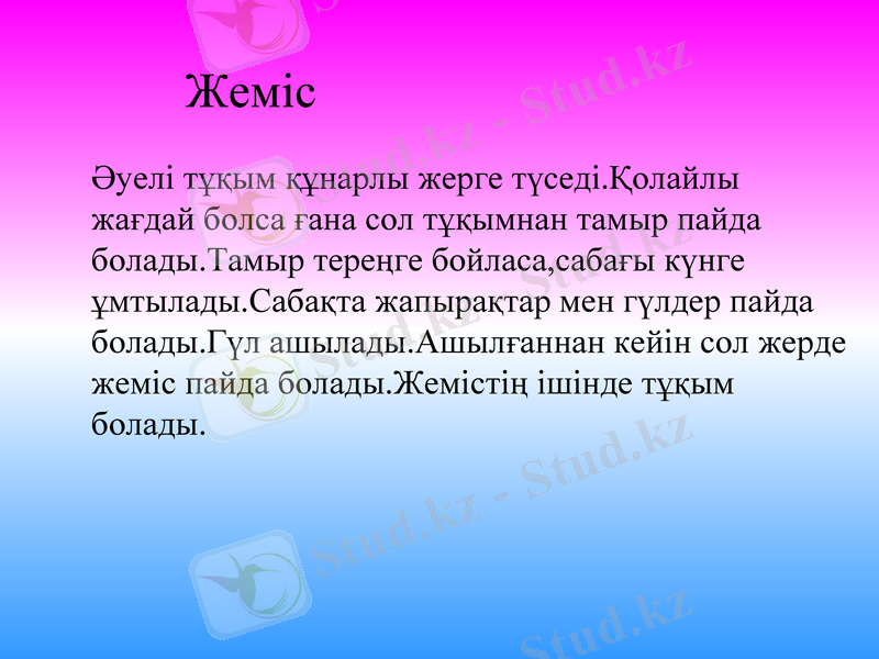 Slide 7