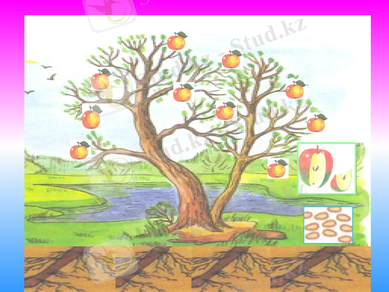 Slide 8