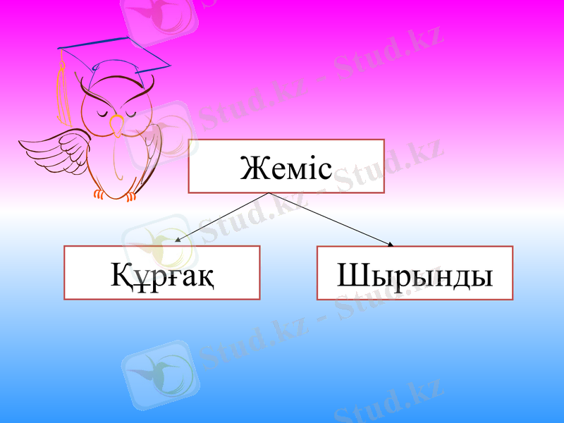 Slide 9