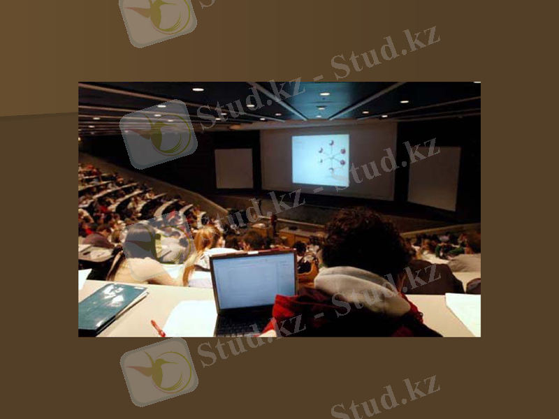 Slide 7