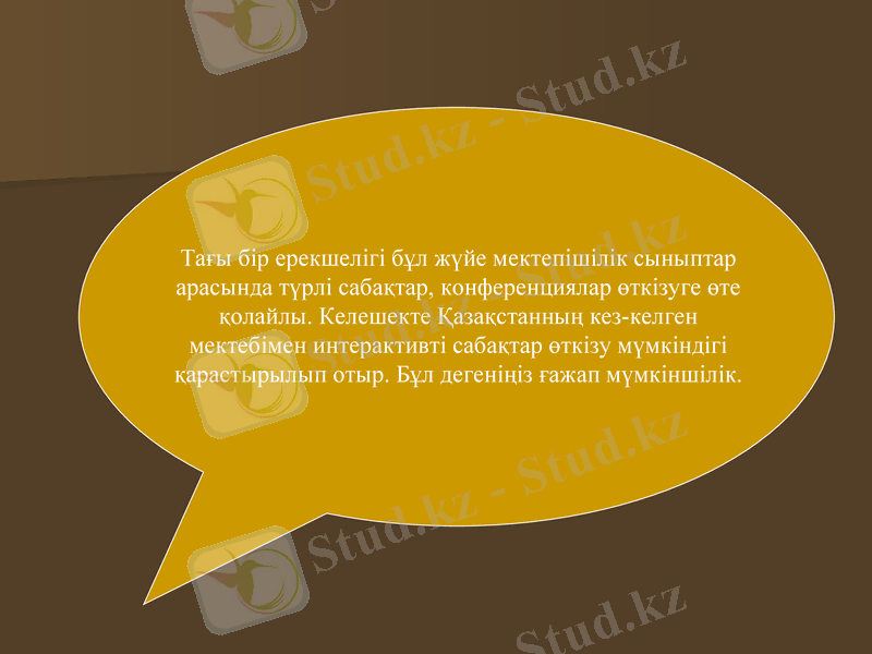 Slide 8