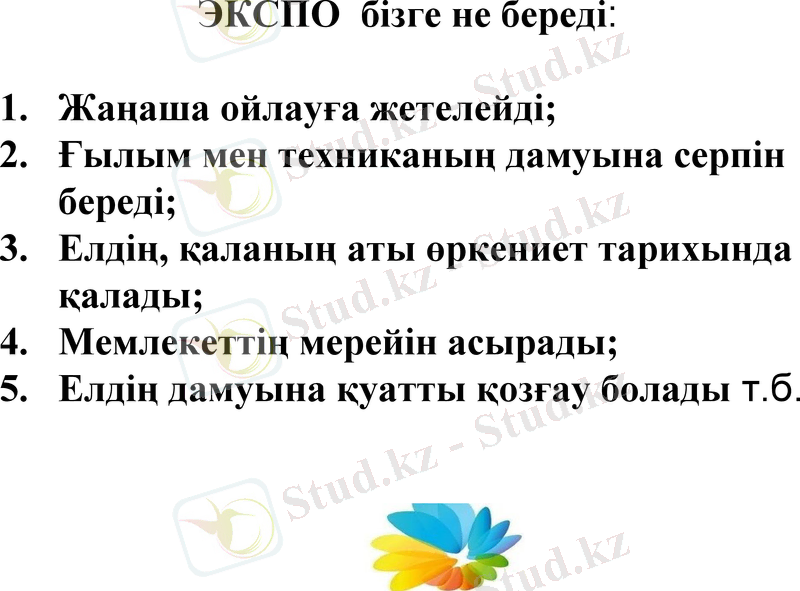 Slide 11