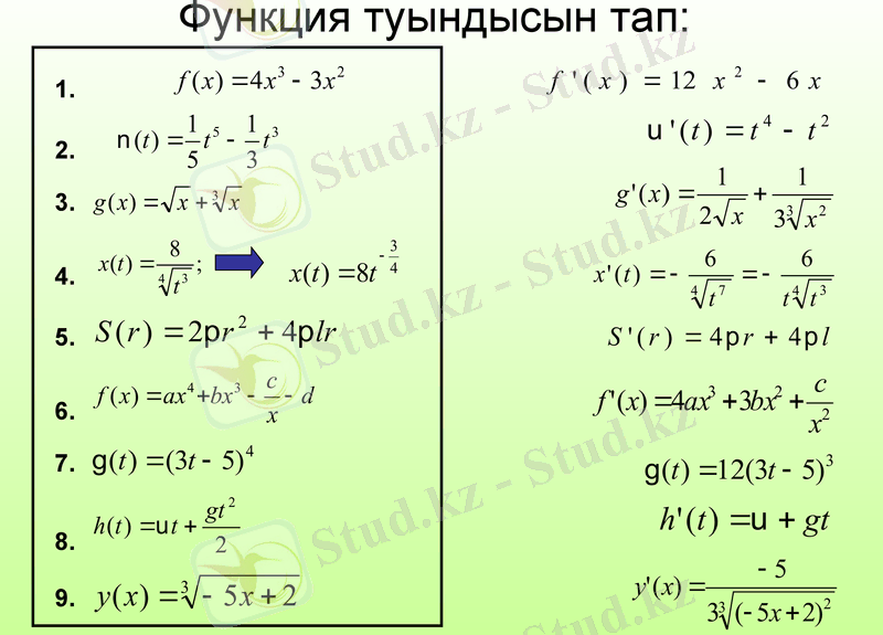 Slide 5