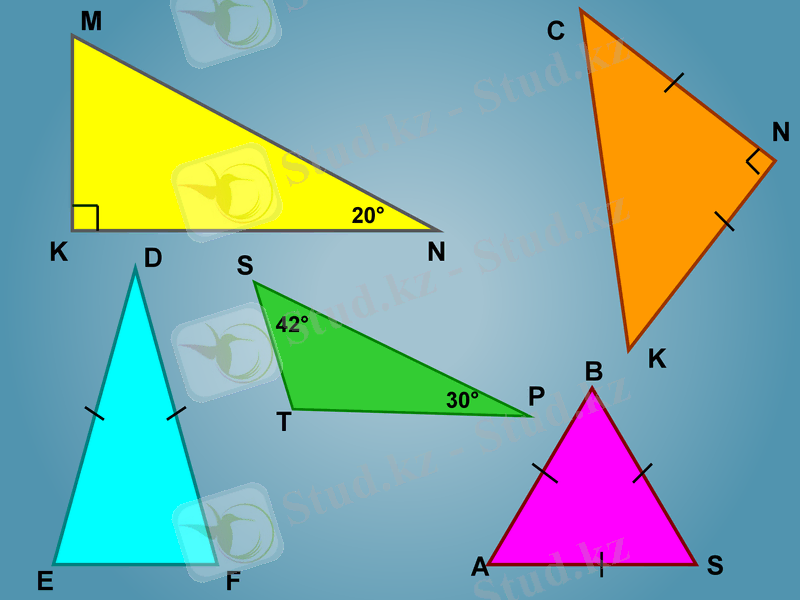 Slide 8