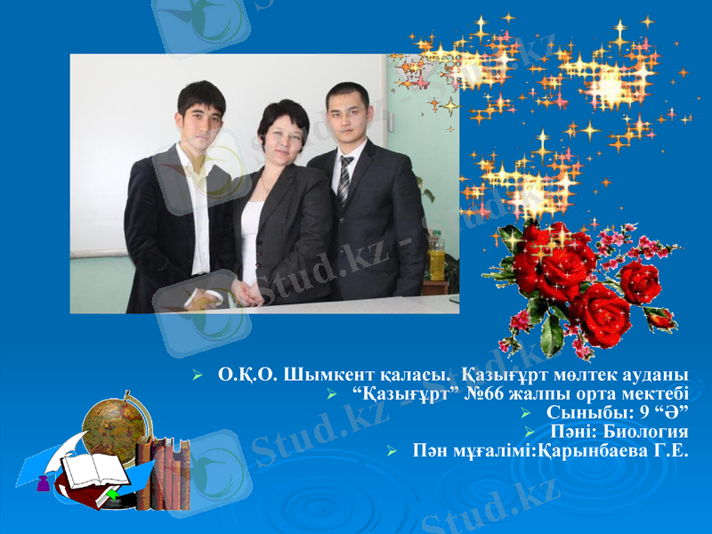 Slide 1