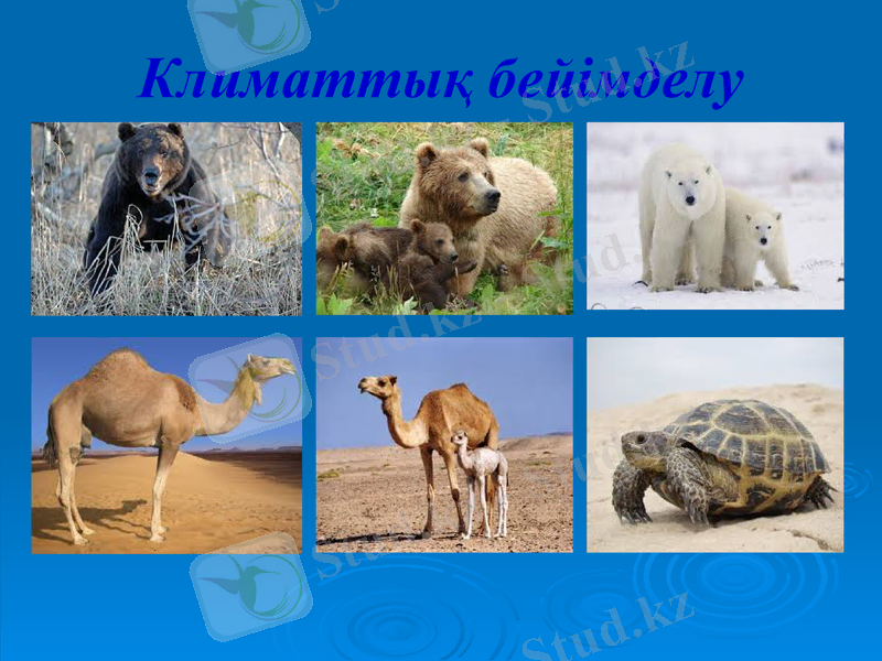 Slide 10
