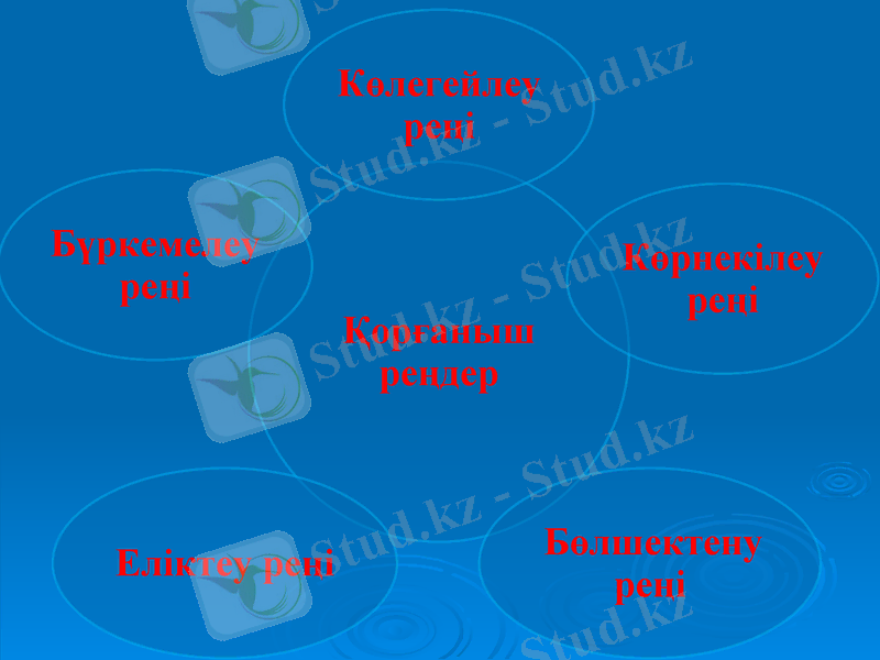 Slide 11