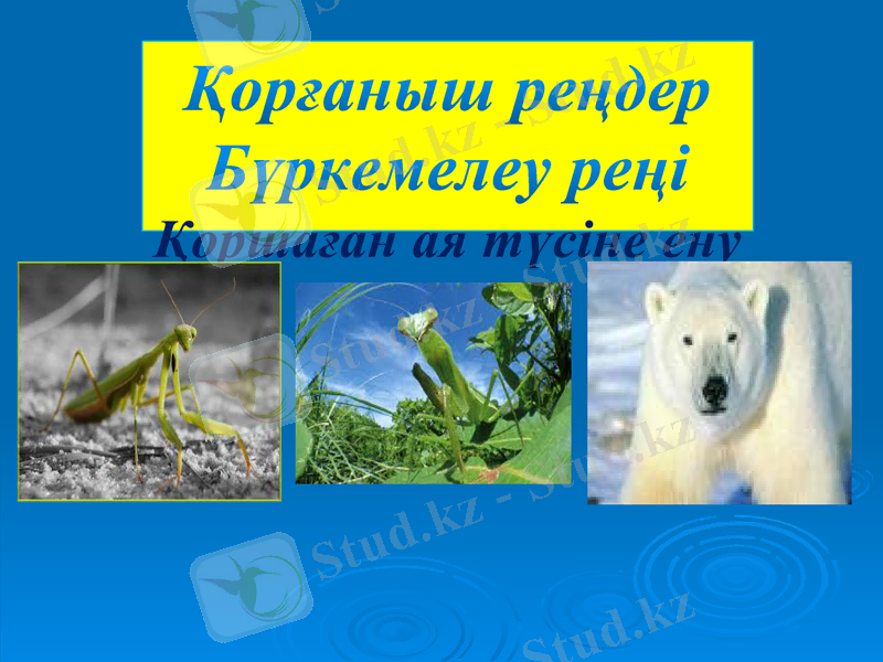 Slide 12