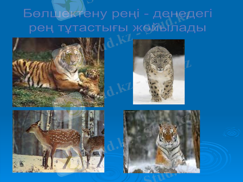 Slide 13