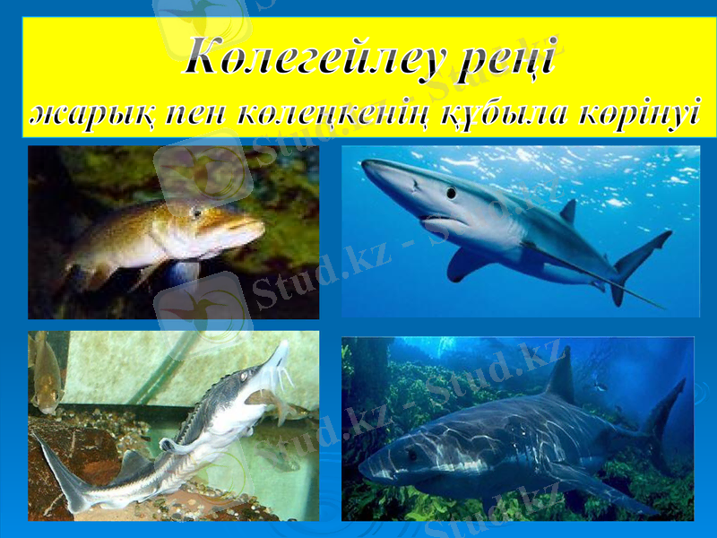 Slide 14