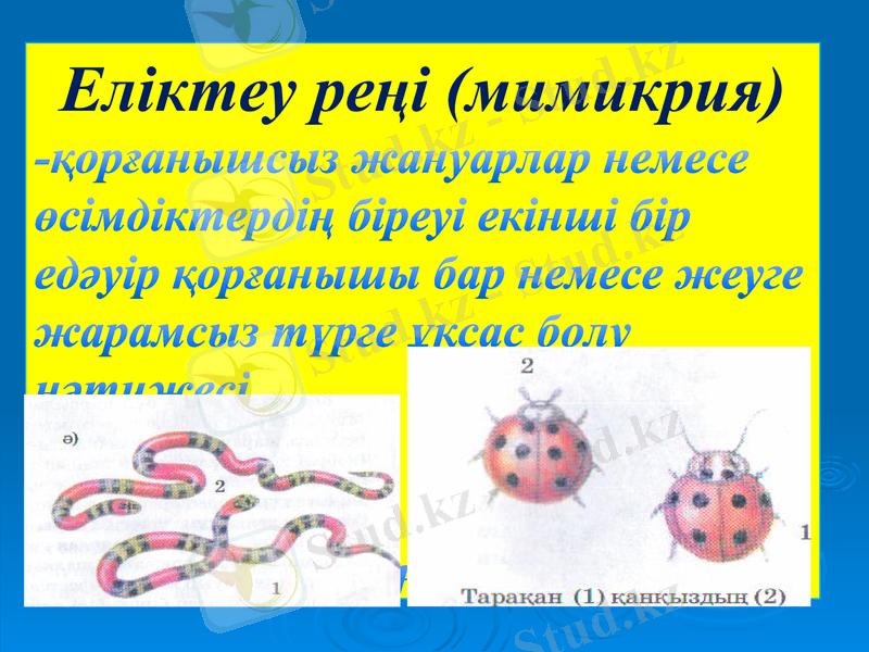 Slide 15