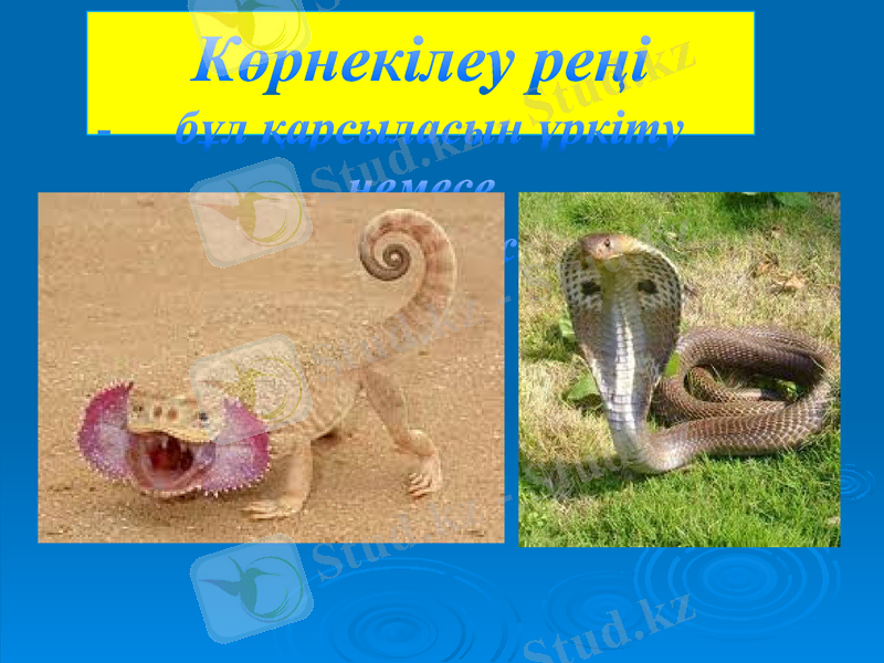 Slide 16