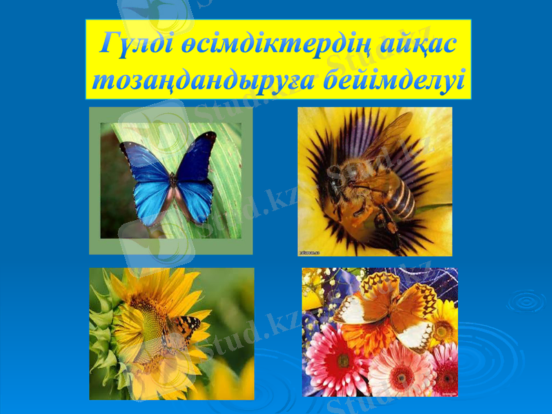 Slide 17