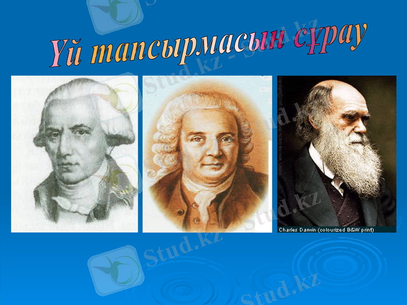 Slide 19