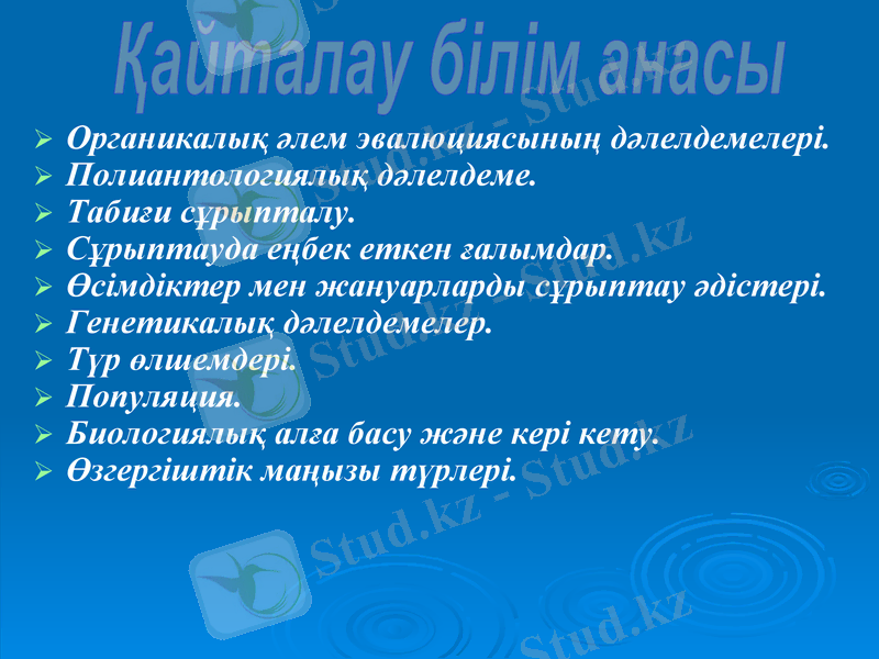 Slide 20