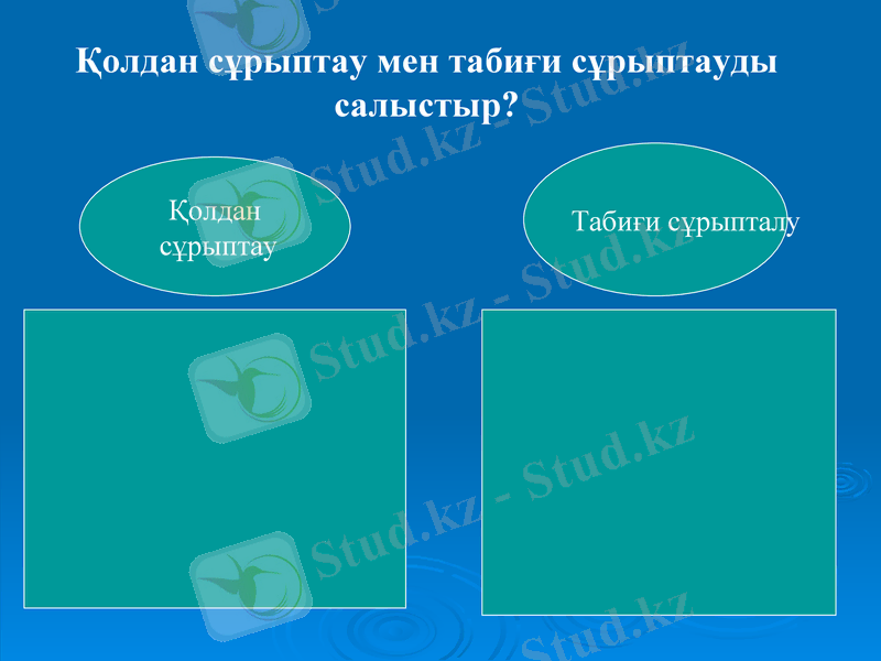 Slide 22