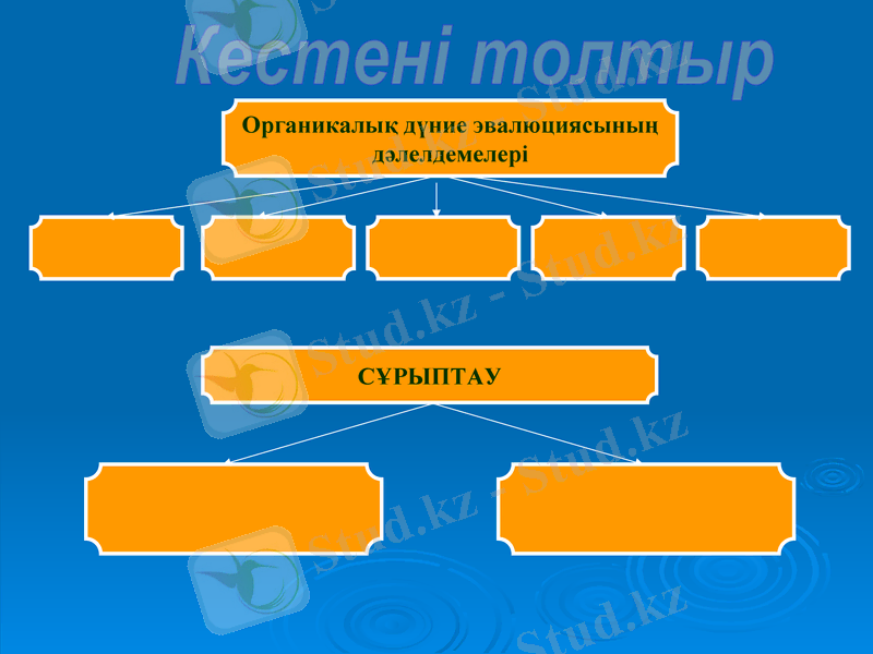 Slide 23