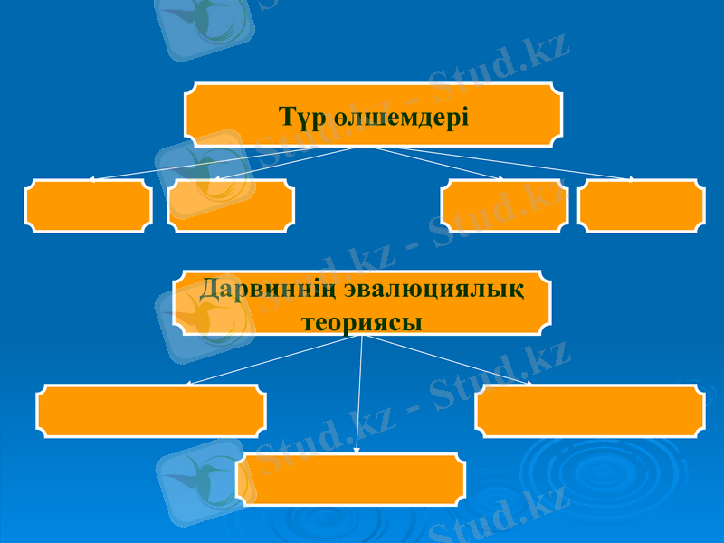 Slide 24