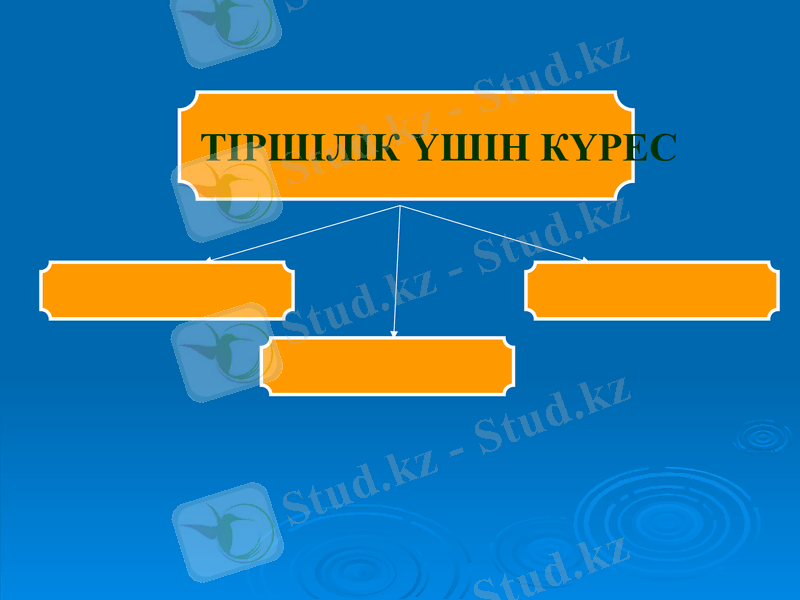 Slide 25
