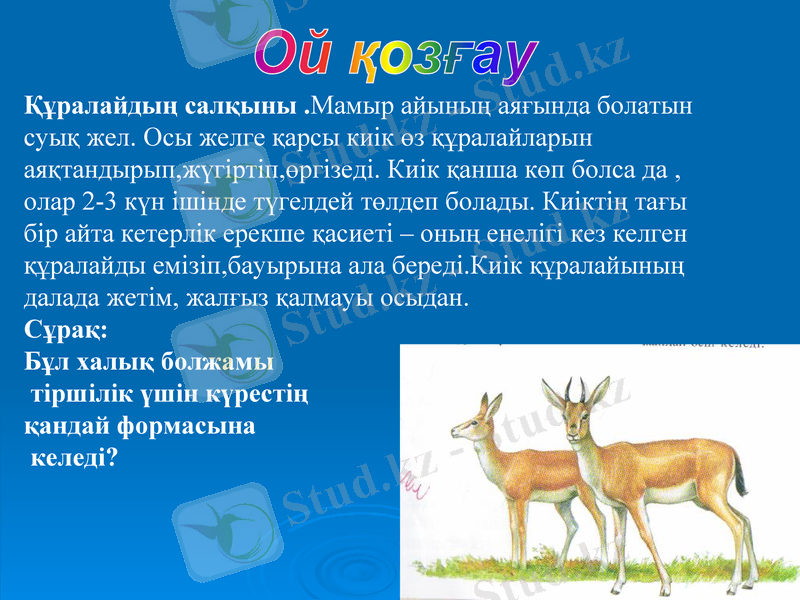 Slide 26