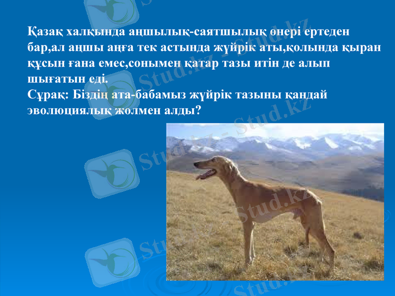 Slide 27