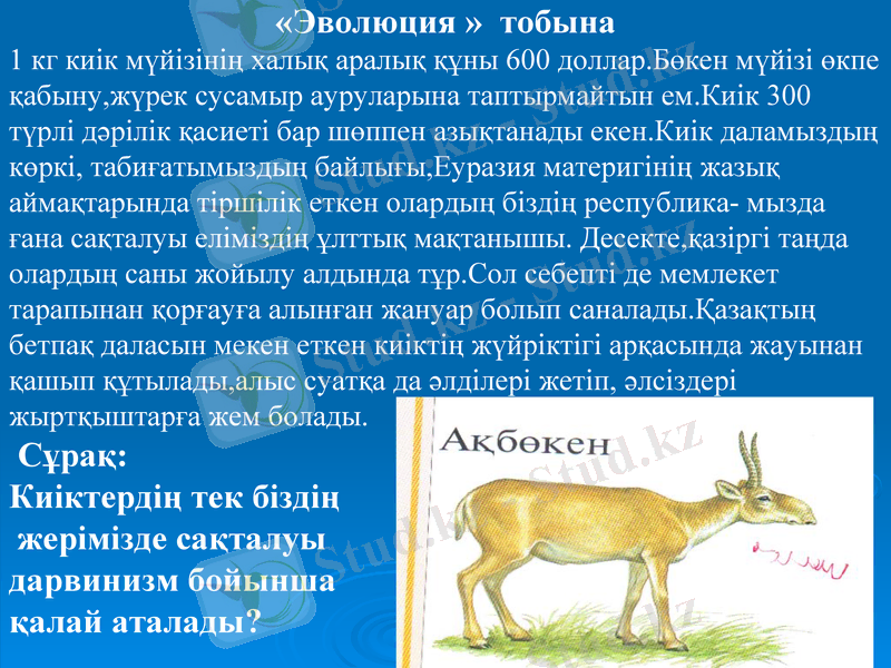 Slide 28