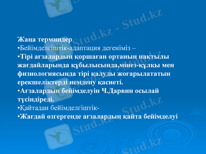 Slide 29