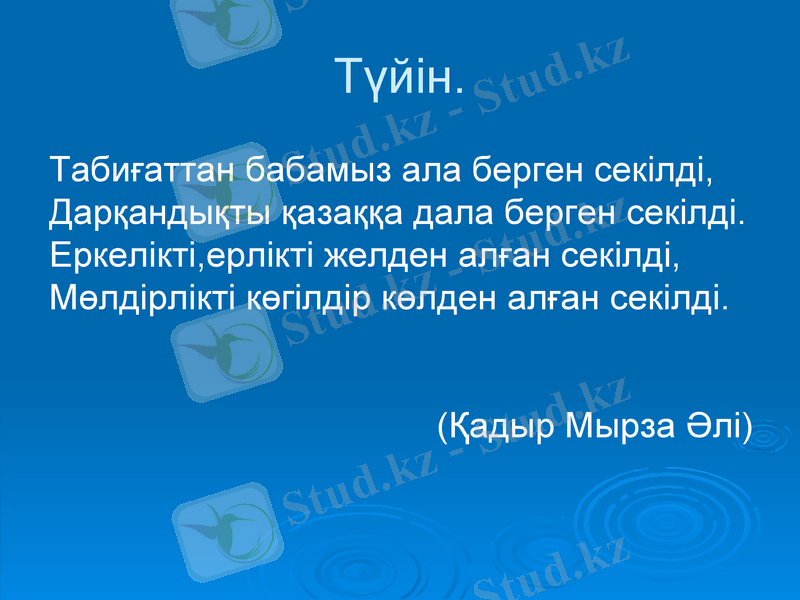 Slide 30