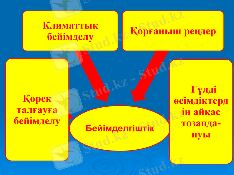 Slide 7