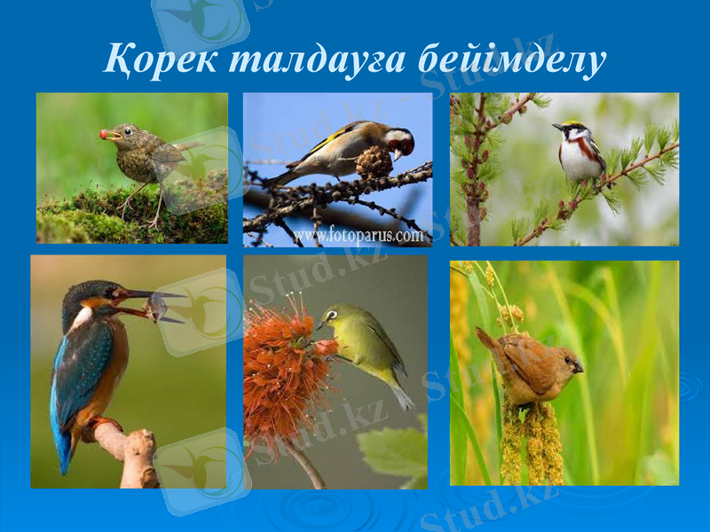 Slide 8