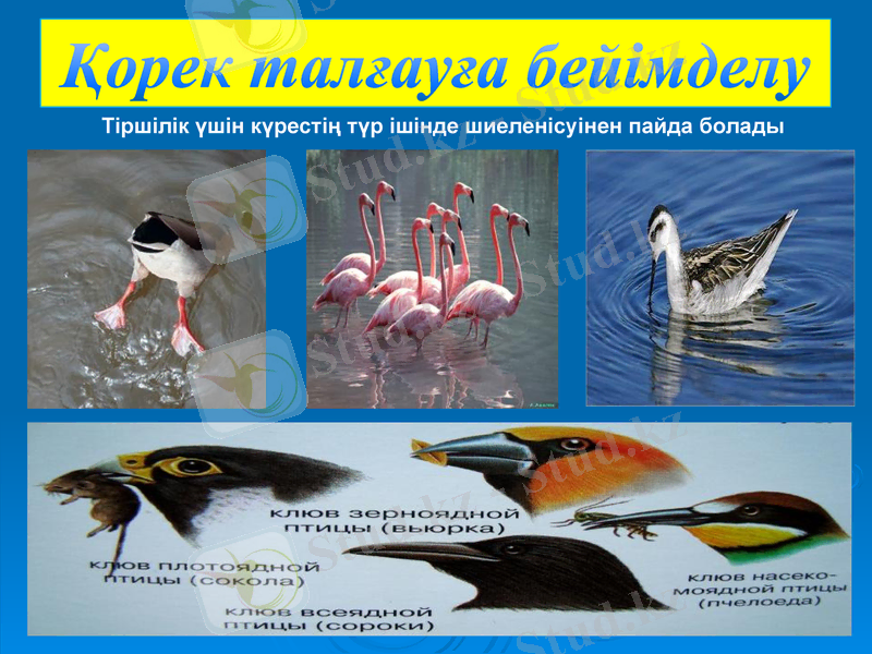 Slide 9
