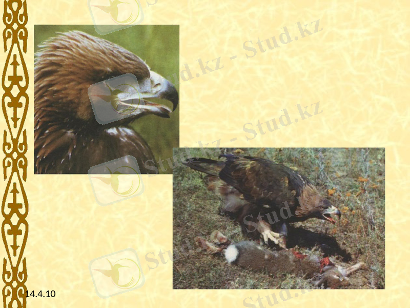 Slide 5