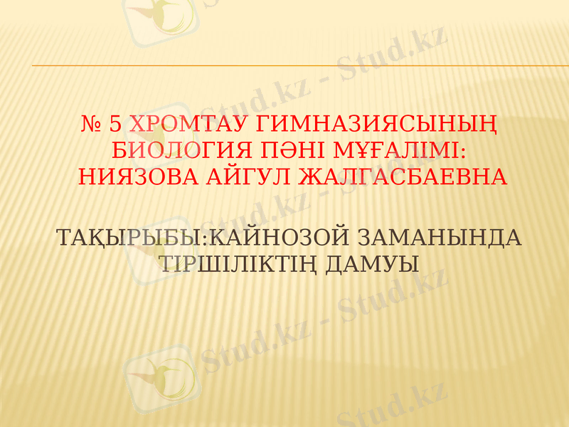 Slide 1