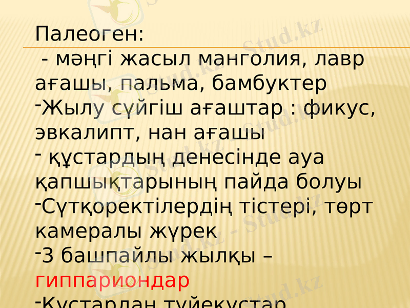 Slide 4