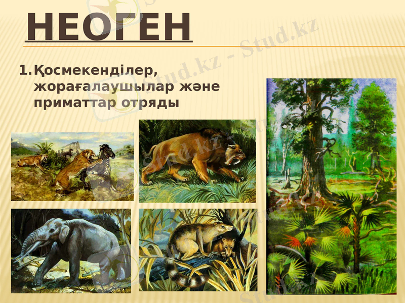 Slide 5