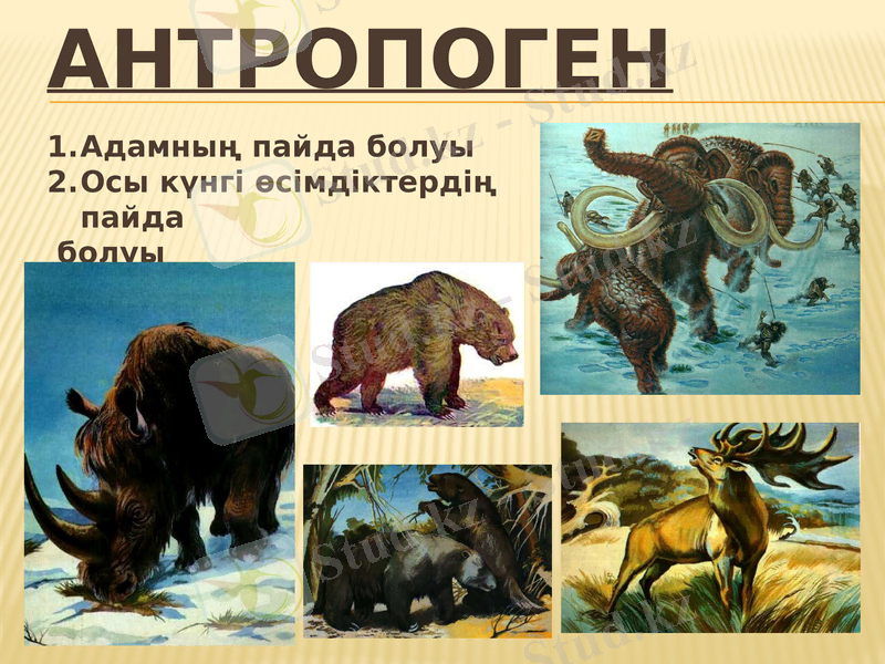 Slide 7