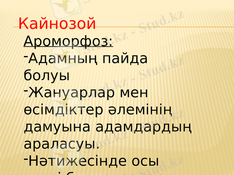 Slide 9