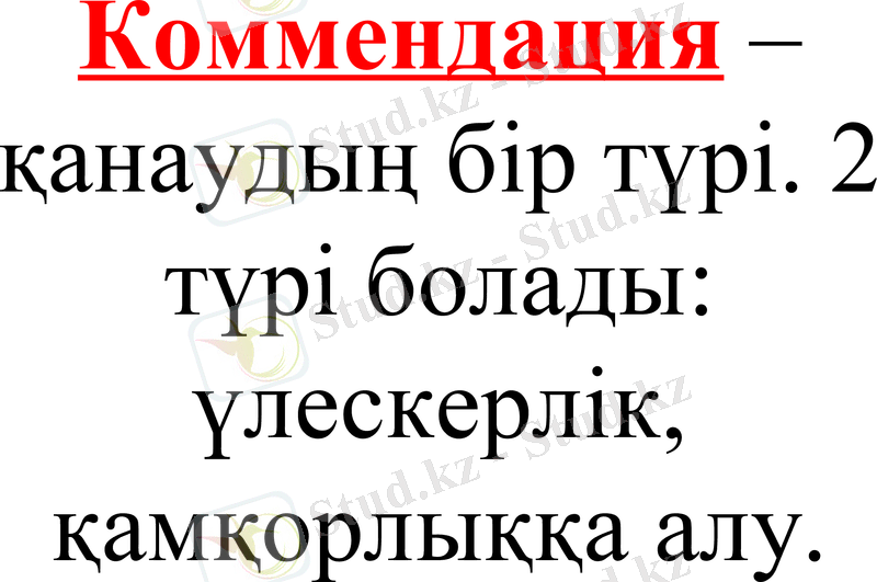 Slide 13