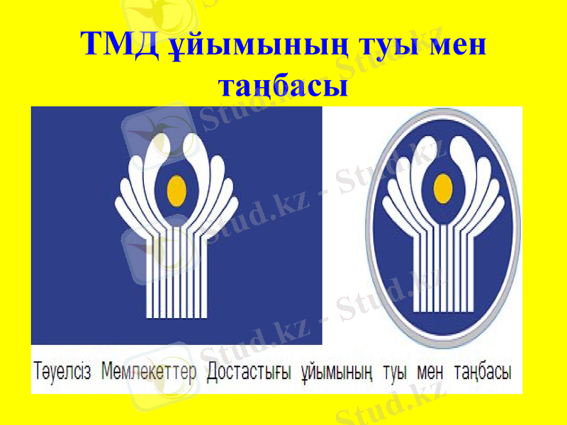 Slide 11