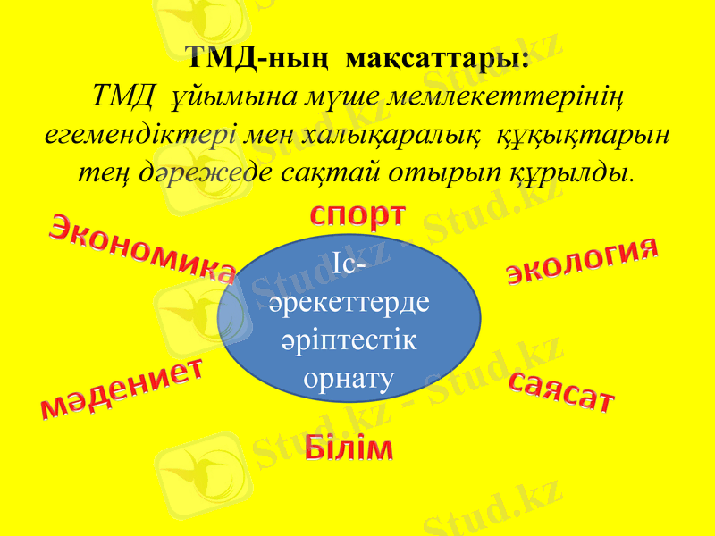 Slide 12