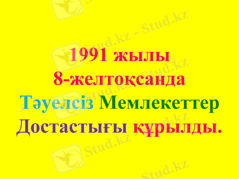 Slide 7