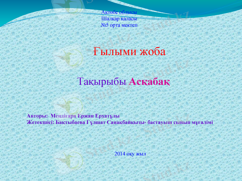 Slide 1
